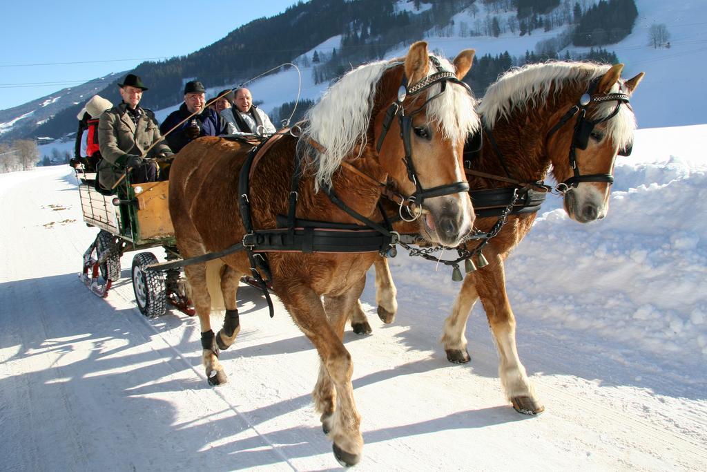 Апартаменты "Schoen-Urlauben" Грёбминг Экстерьер фото