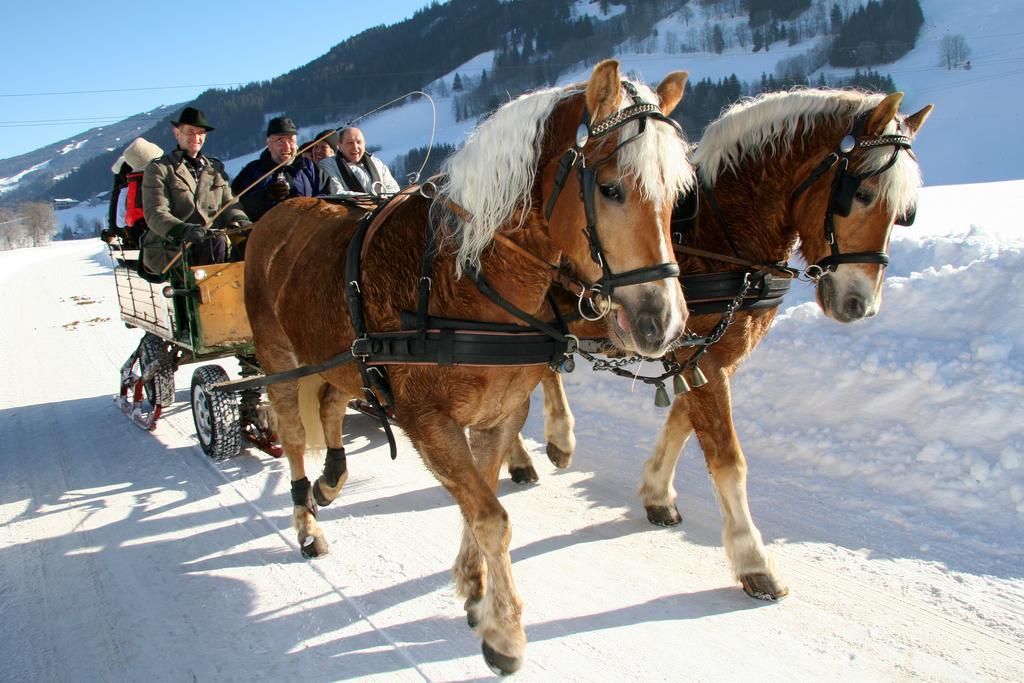 "Schoen-Urlauben" Грёбминг Экстерьер фото